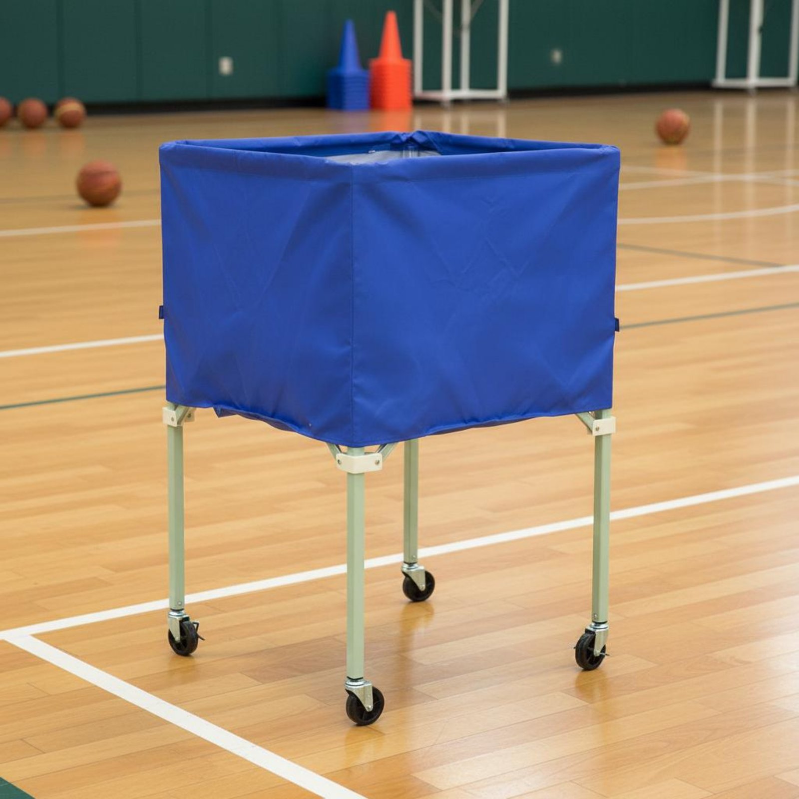 Ball Vehicle Cover Waterproof  - огляд і ціна Sports Equipment Organizer
